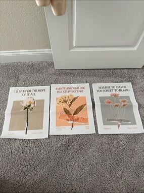 Taylor Swift Floral Art Poster Trio - Peach, Gray & Beige Accents